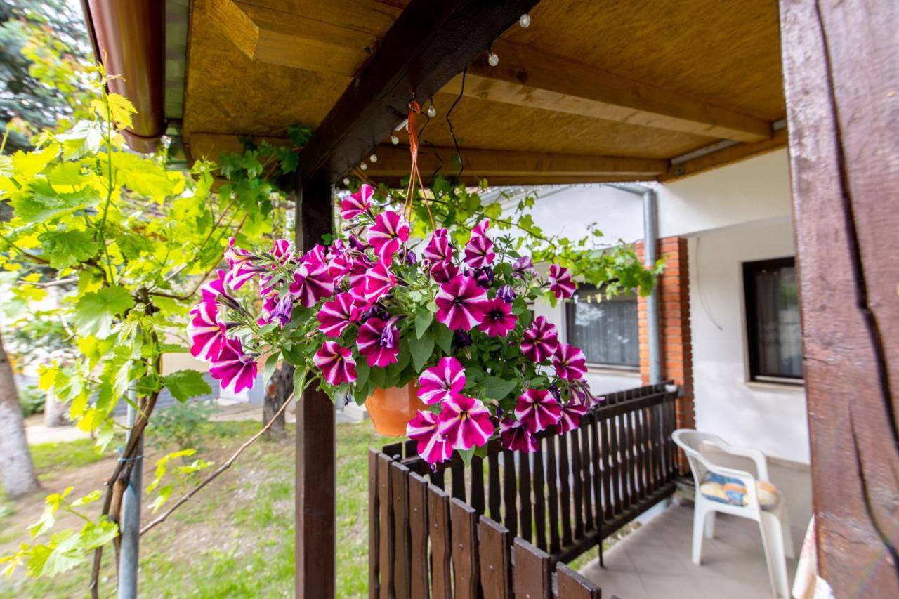 Apartman Marta I Soba Maja Gradiste Luaran gambar