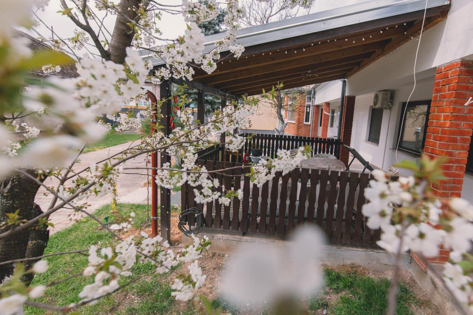 Apartman Marta I Soba Maja Gradiste Luaran gambar